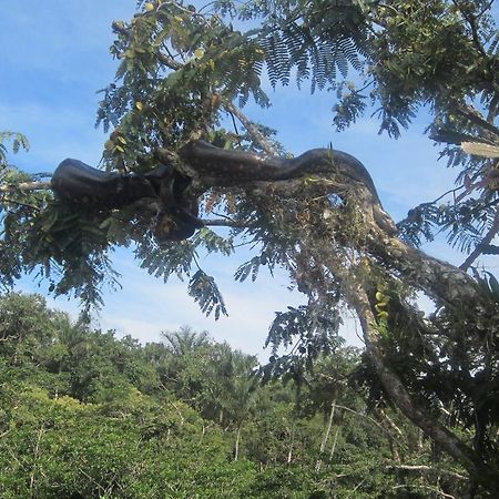 Jamu LodgePuerto Montufar エクステリア 写真